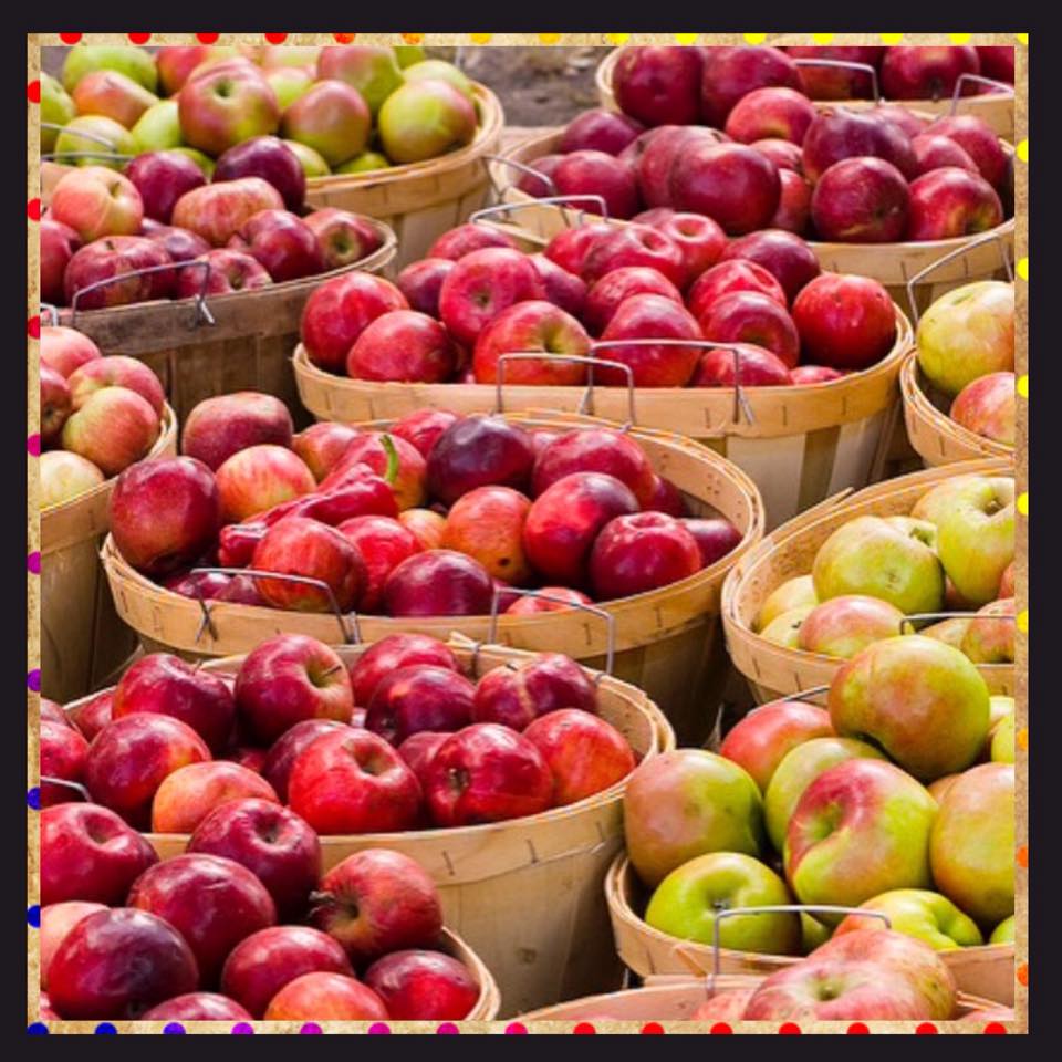 15966280_1219263291521359_5909144063546785384_n